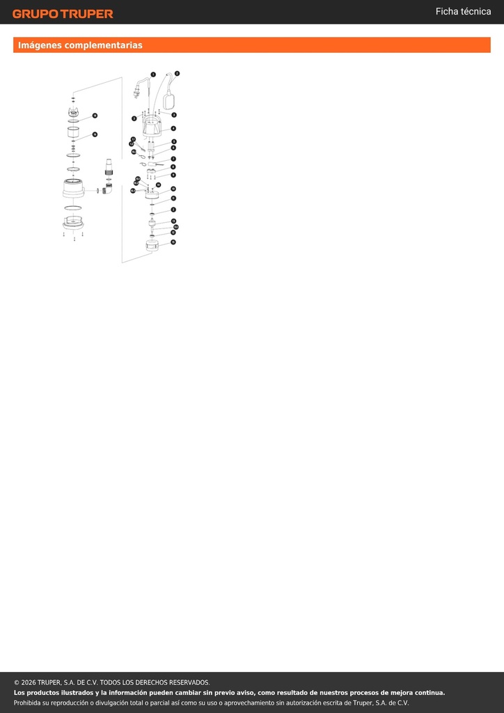 img_4_BOS-1LP