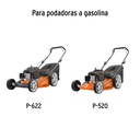 img_2_BOL-P
