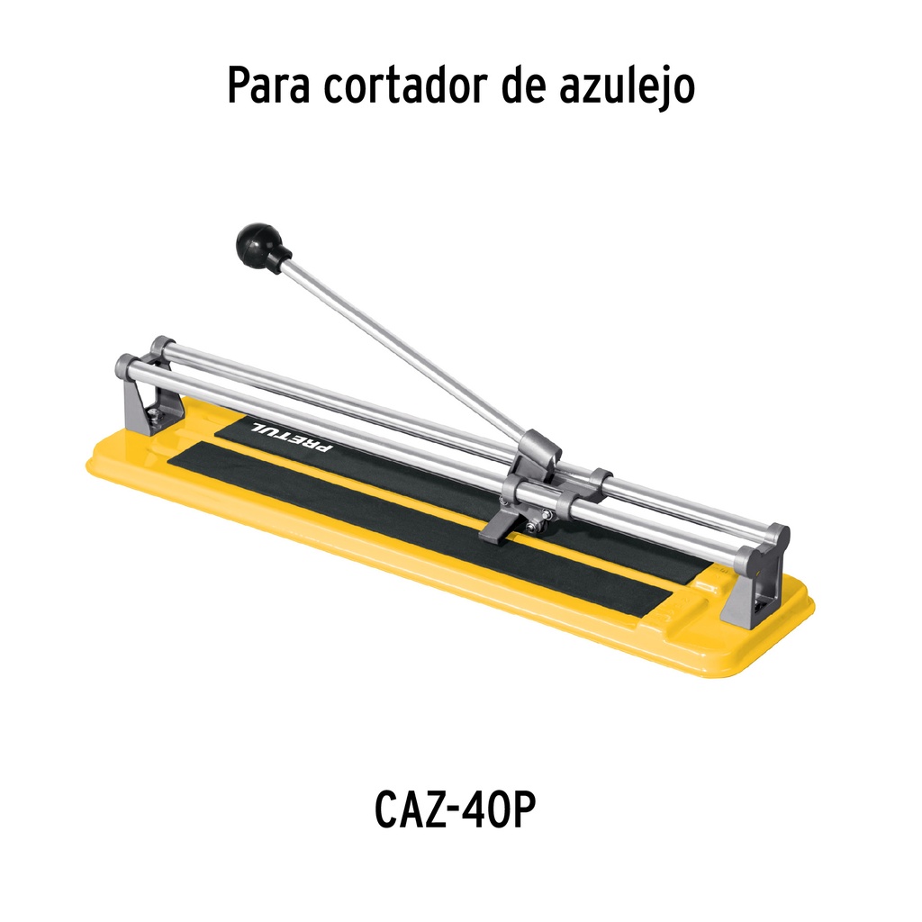 img_2_REP-CAZ-P
