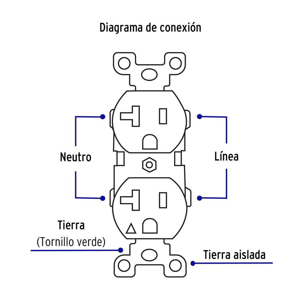 img_2_CODO-MTAS