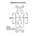 img_2_PA-CODO-MS