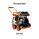 img_2_CJ-GEN-100X