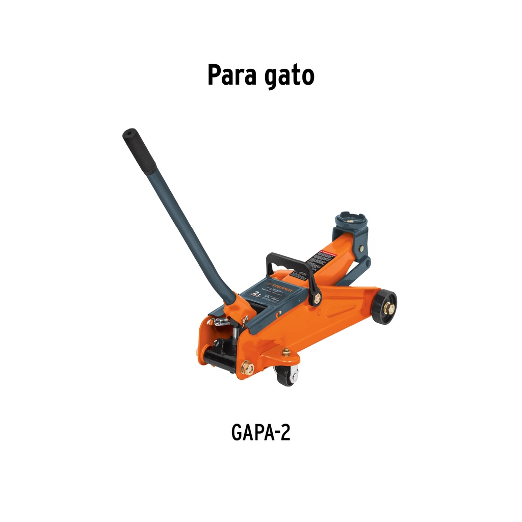 img_2_CJ-GAPA-2