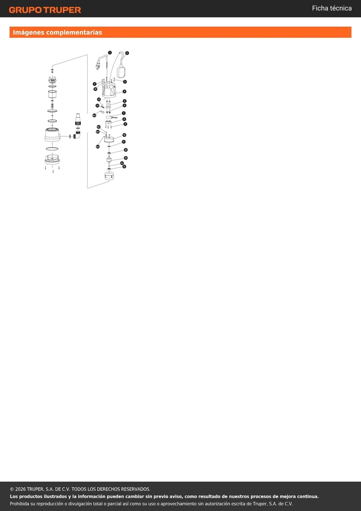 img_4_BOS-3/4LP