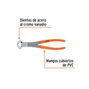 img_3_TNI-10