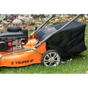 img_6_P-418