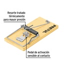 img_3_RAT-4M