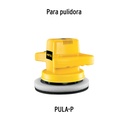 img_2_INT-PULA-P