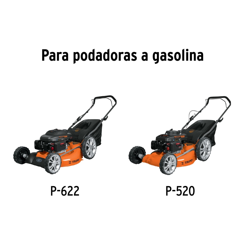 img_2_CB-P-GRUPO1