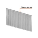 img_3_CLANEU-16-45