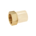 Adaptador CPVC, 2', hembra inserto metálico-latón, FOSET