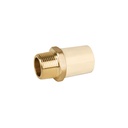 Adaptador macho de CPVC 3/4' con inserto de latón, FOSET