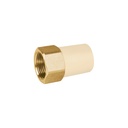 Adaptador hembra de CPVC 3/4' con inserto de latón, FOSET