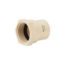 Conector hembra CPVC 1-1/4', FOSET