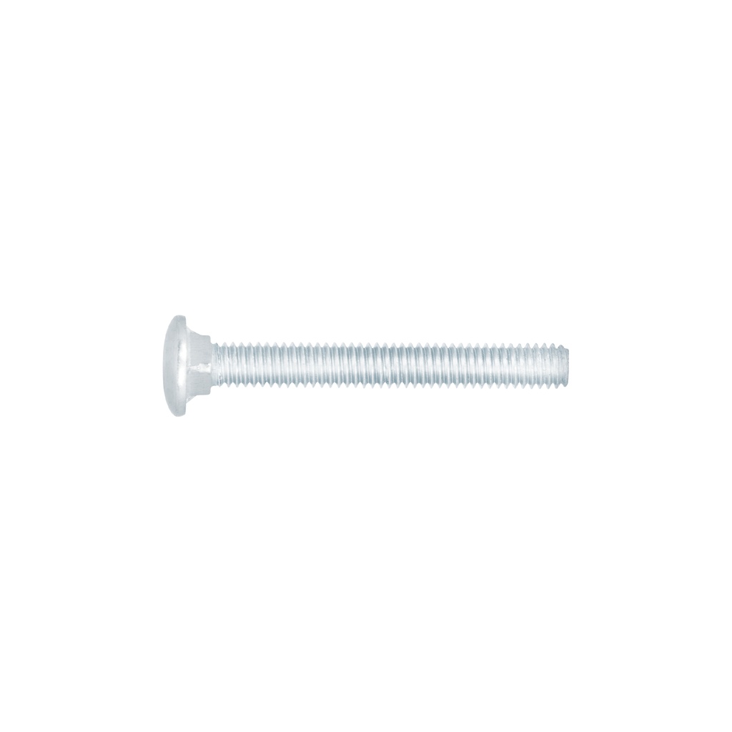 Bolsa con 60 tornillos 5/16' x 2-1/2' tipo coche, FIERO
