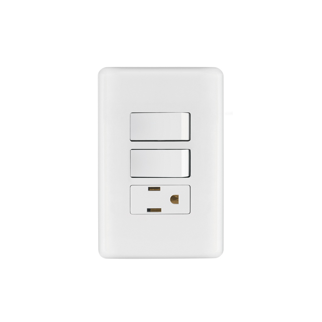 Placa armada con contacto y 2 interruptores sencillos, BASIC