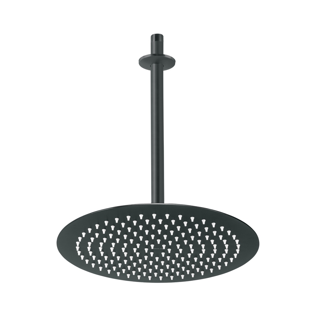 Regadera plato redondo 12' con brazo, negro, FOSET RIVIERA