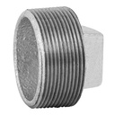 Tapón macho 2' de acero galvanizado, FOSET