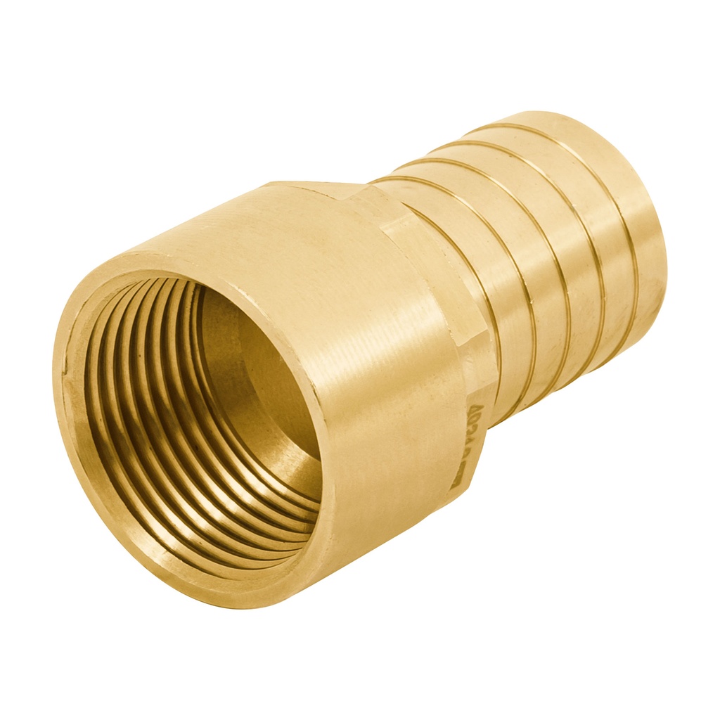 Adaptador hembra de latón 1' para poliducto, FOSET