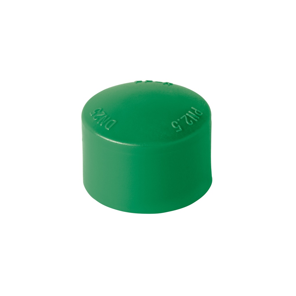 Tapón de PPR 3/4', FOSET