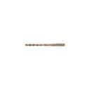 Broca SDS Plus 5/16 x 6', TRUPER